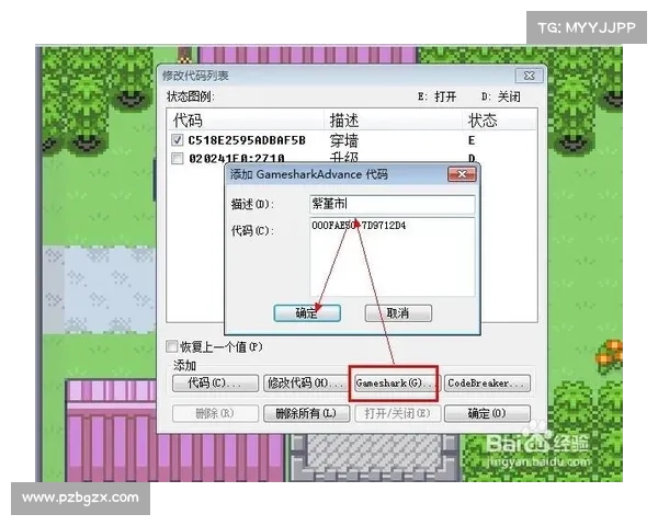 口袋妖怪黑白版金手指技巧全面解析与实战应用指南 口袋妖怪黑白版金手指技巧全面解析与实战应用指南