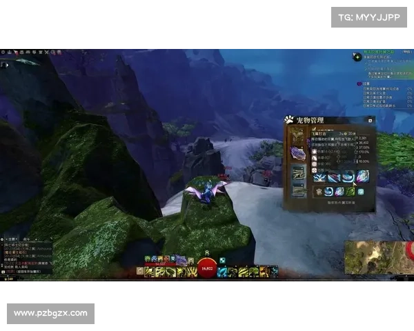 激战2游侠宠物捕捉技巧全面解析让你轻松收服最强宠物